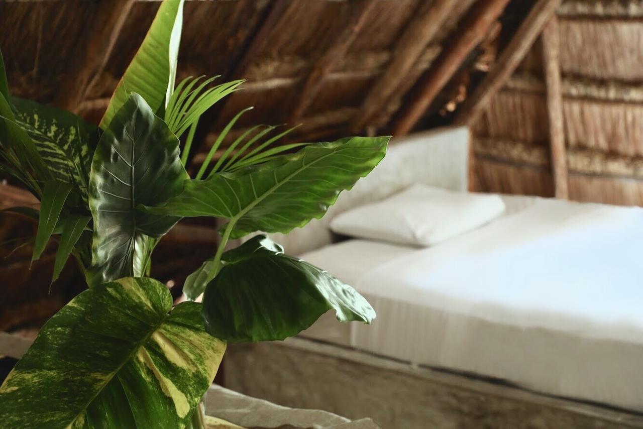 Tuup Jungle Aparthotel Tulum Exterior foto